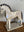 Speckled Brown and White horse