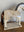 Speckled Brown and White horse